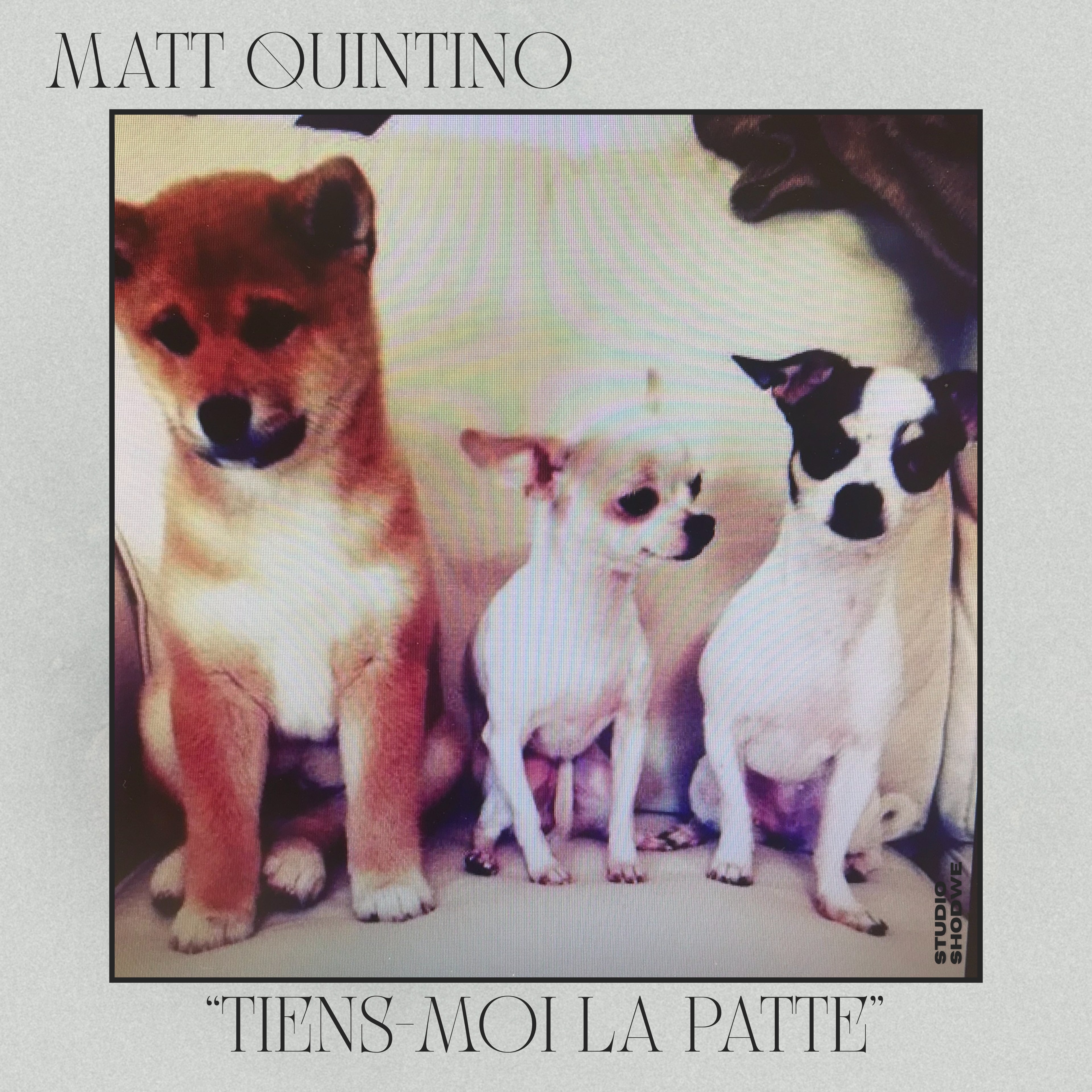 Titre inédit - "Tiens moi la patte"